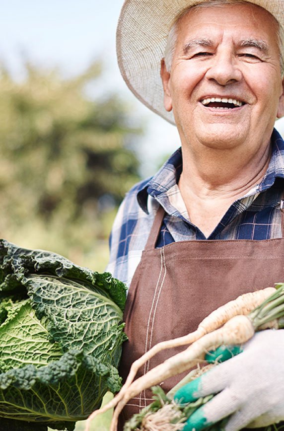 Fresh Fruits and Vegetables Exports